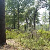 Review photo of Oak Camp Complex by Paula W., July 30, 2018