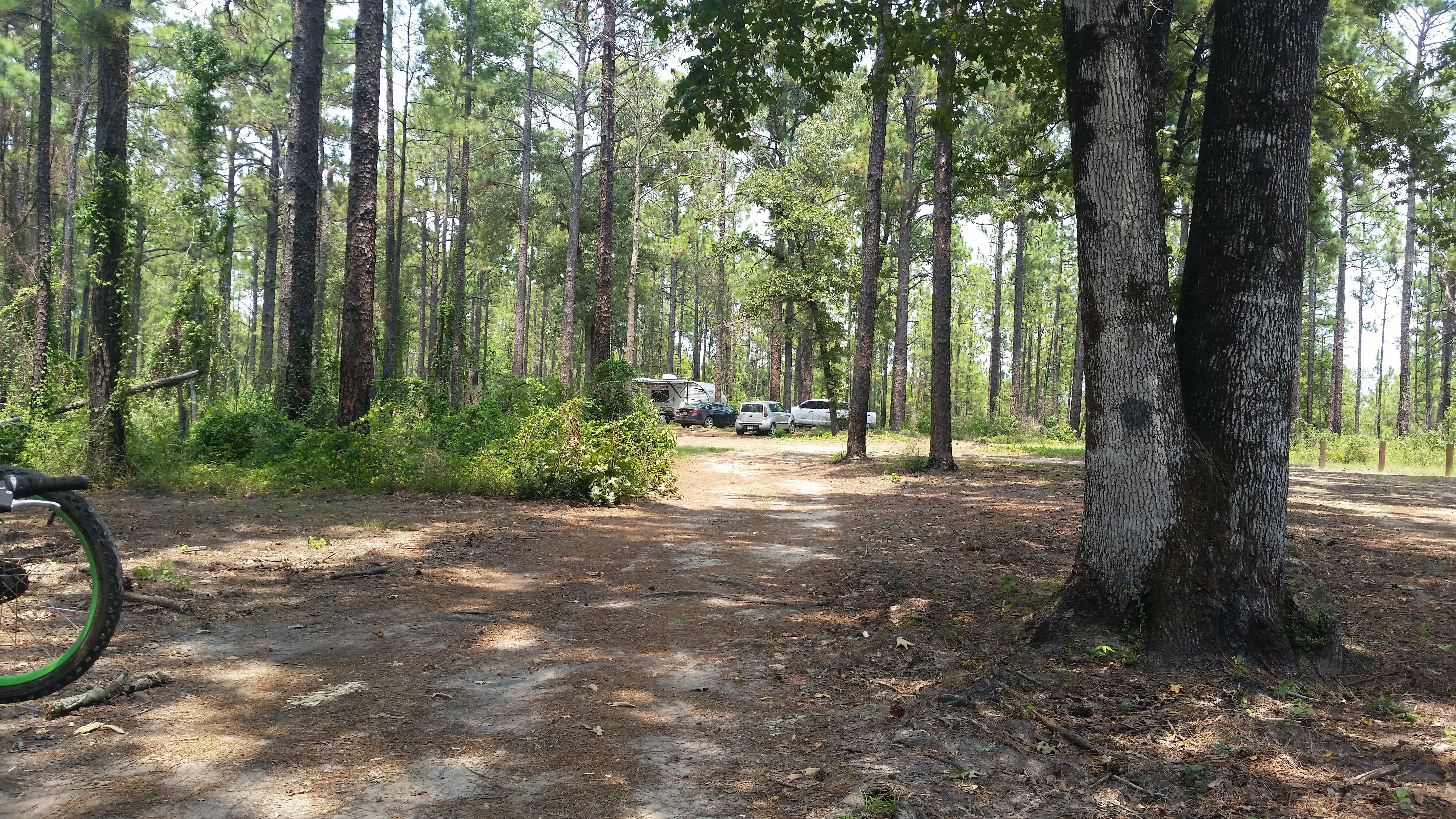 Camper submitted image from Oak Camp Complex - 3