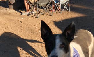 Miah N.'s photo of camping with pets at Monty Campground near Madras, OR