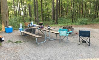 Michelle G.'s photo at Pharoah - Garden of the Gods Rec Area Campground near Junction, IL