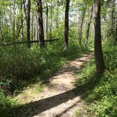 Review photo of Mauthe Lake Campground — Kettle Moraine State Forest-Northern Unit-Iansr by Jen C., July 30, 2018