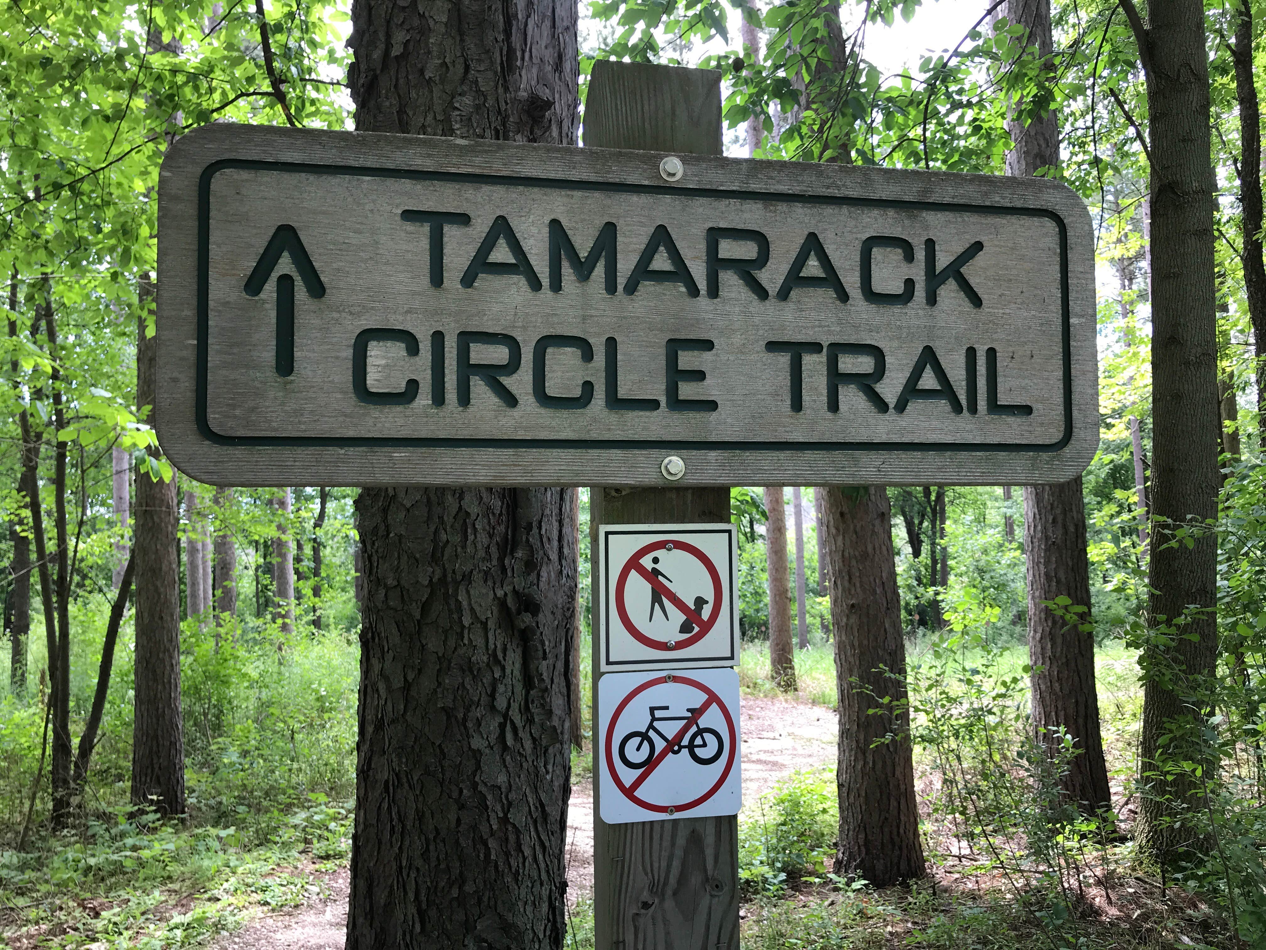 Camper submitted image from Mauthe Lake Campground — Kettle Moraine State Forest-Northern Unit-Iansr - 5