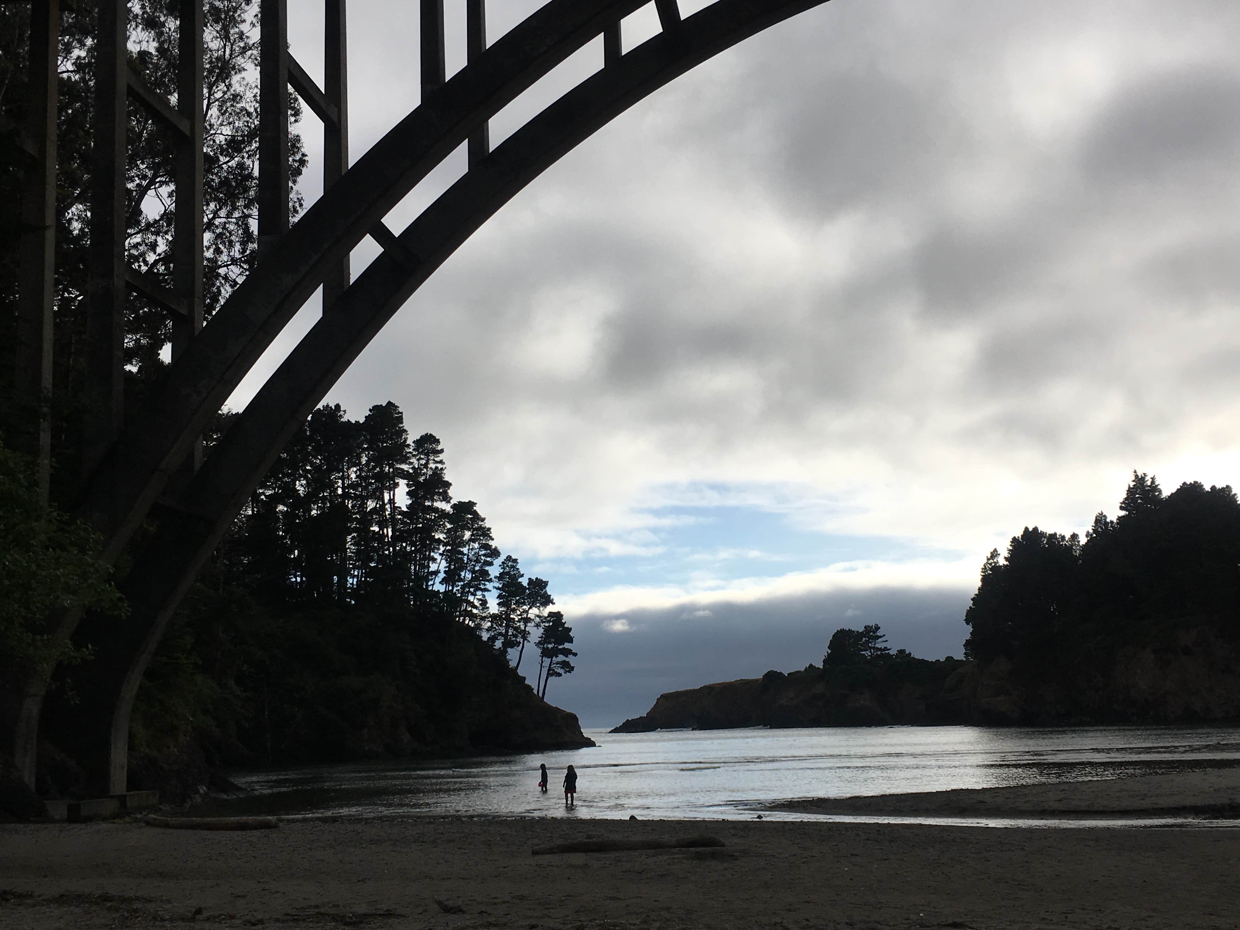 Camper-submitted photo at Russian Gulch State Park Campground near Mendocino Lake