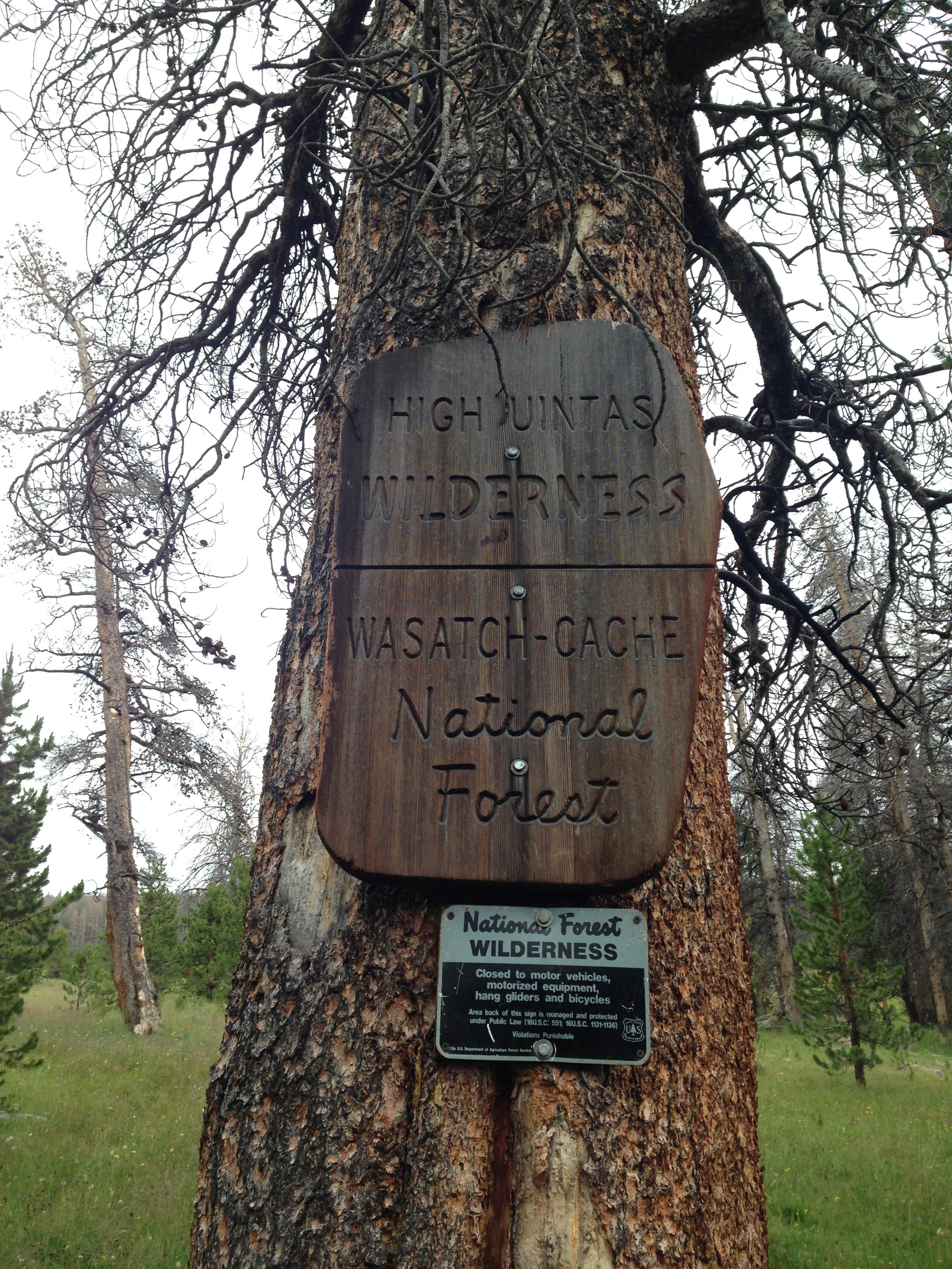 China Meadows Trailhead The Dyrt