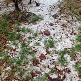 Review photo of China Meadows Trailhead by Linda N., July 30, 2018