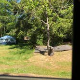 Review photo of Upper Forest Campground — Fort Worden Historical State Park by Tom K., July 30, 2018