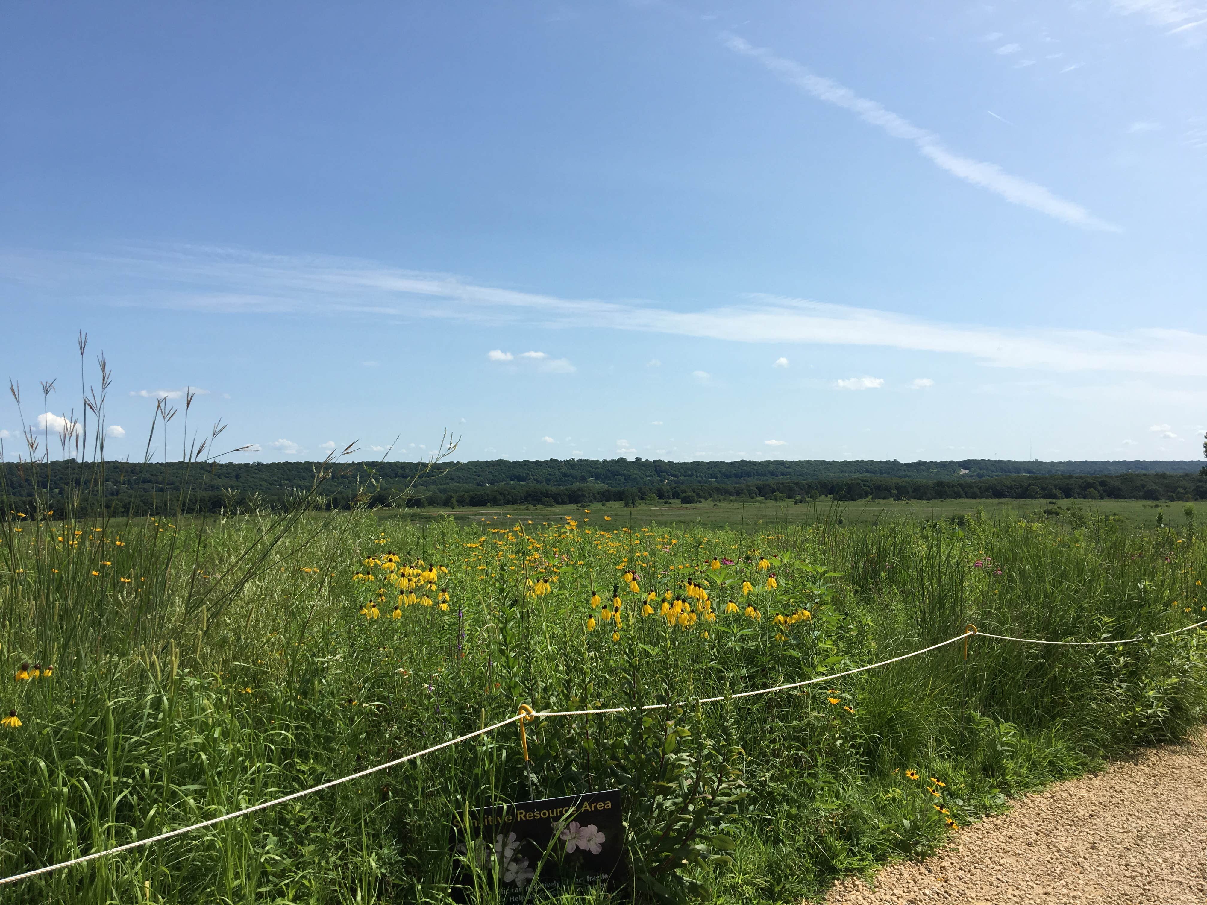 Camper-submitted photo at Red Fox Campground — Minneopa State Park near North Mankato, MN