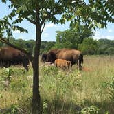 Review photo of Red Fox Campground — Minneopa State Park by Jen H., July 30, 2018