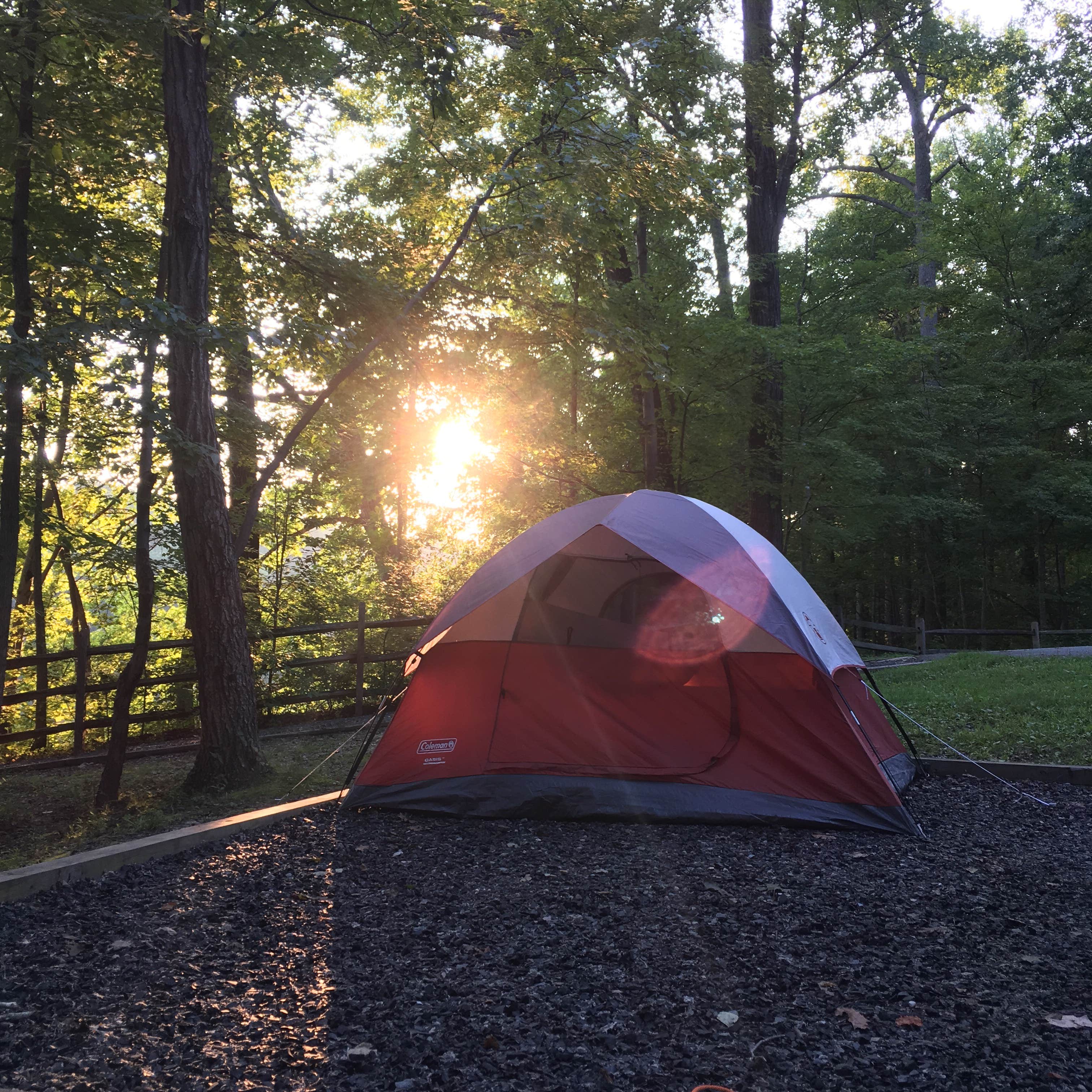 Kaylee G.'s photo at Bear Creek Lake State Park Campground in Virginia