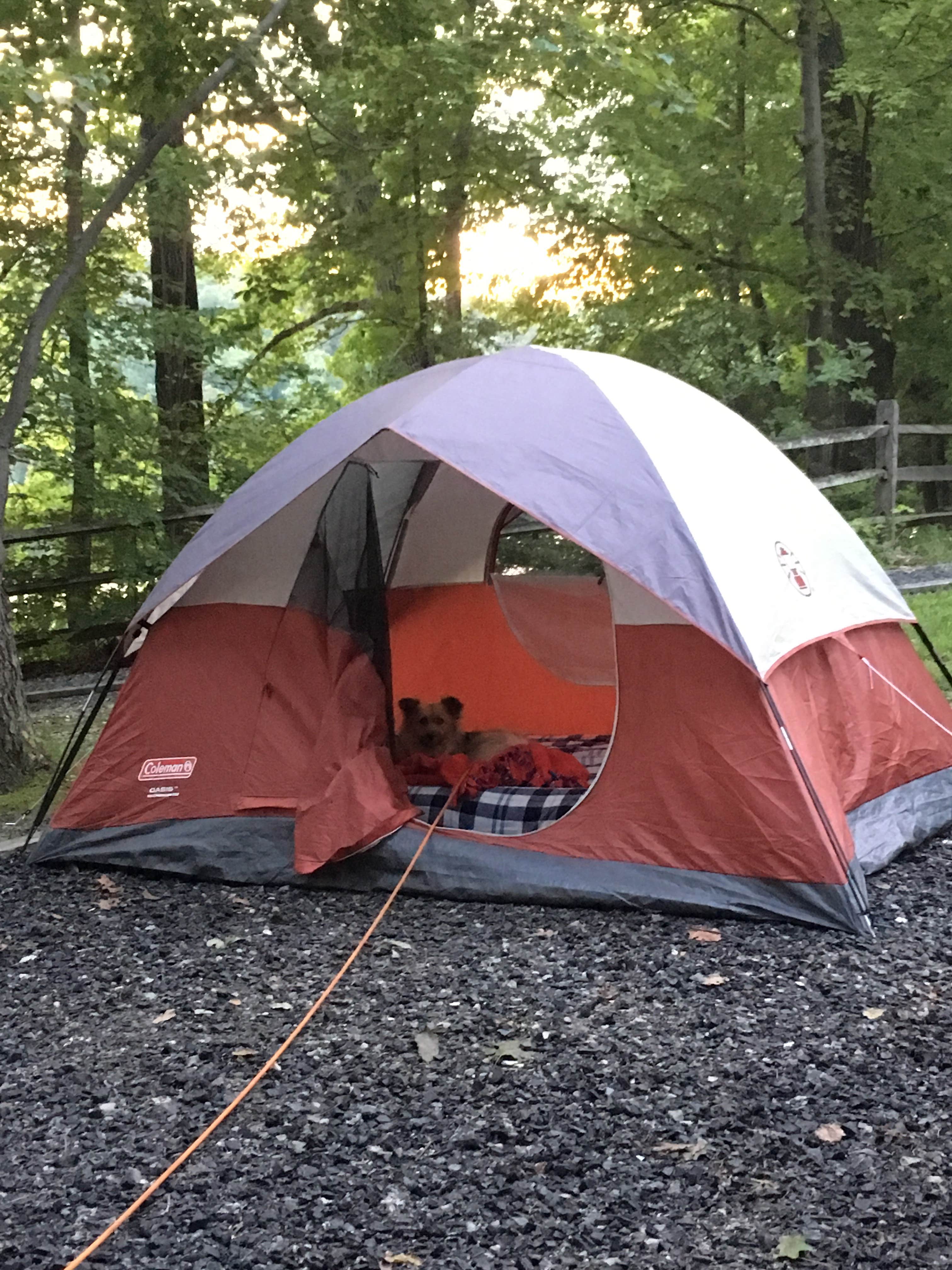 Kaylee G.'s photo at Bear Creek Lake State Park Campground near Appomattox, VA