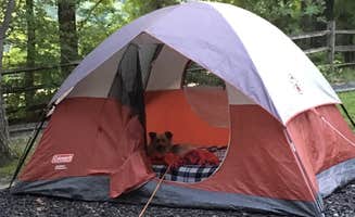Kaylee G.'s photo at Bear Creek Lake State Park Campground near Broad Run, VA