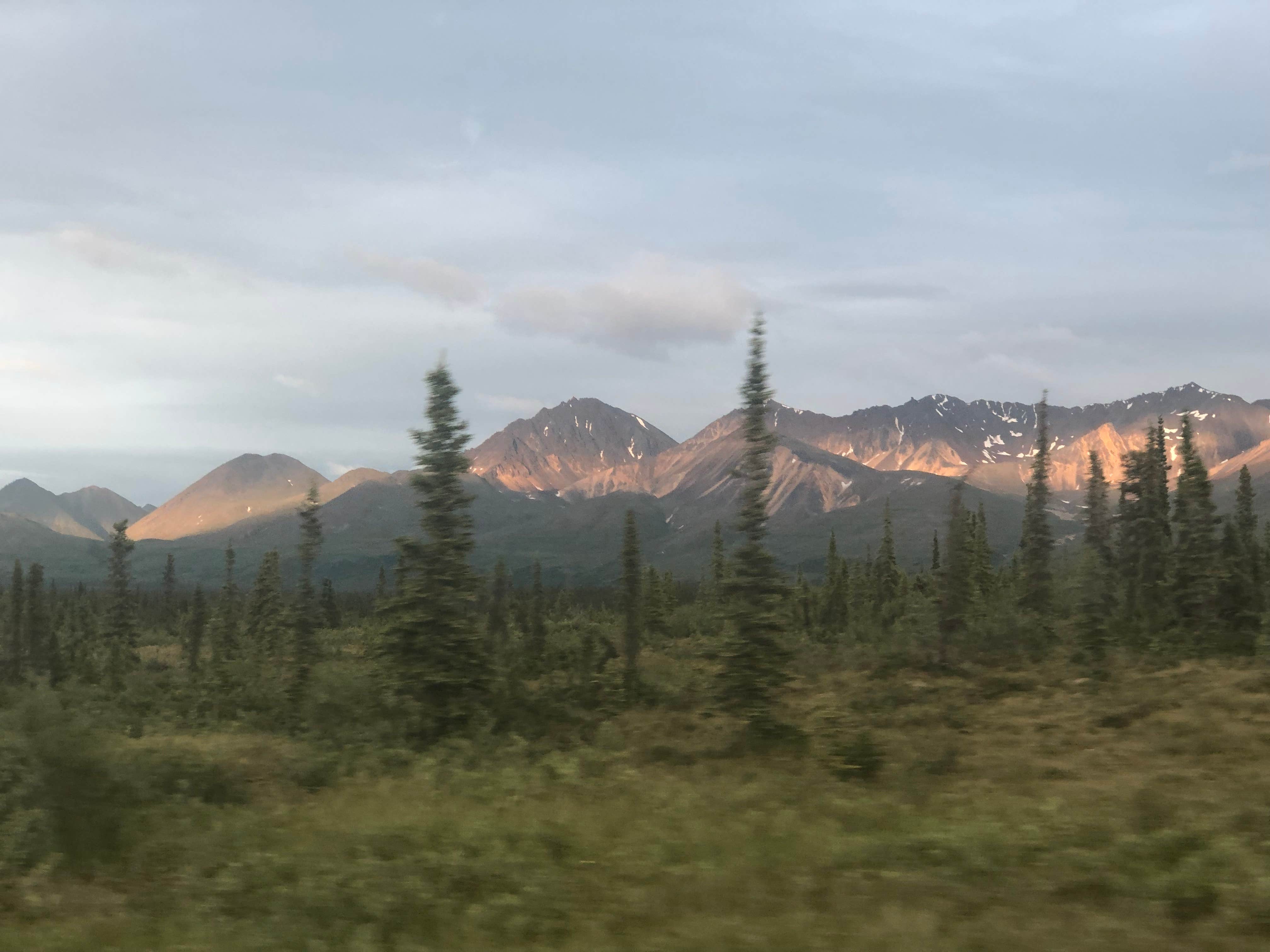 Brushkana Creek Campground The Dyrt