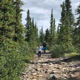 Review photo of Brushkana Creek Campground by Samantha M., July 30, 2018