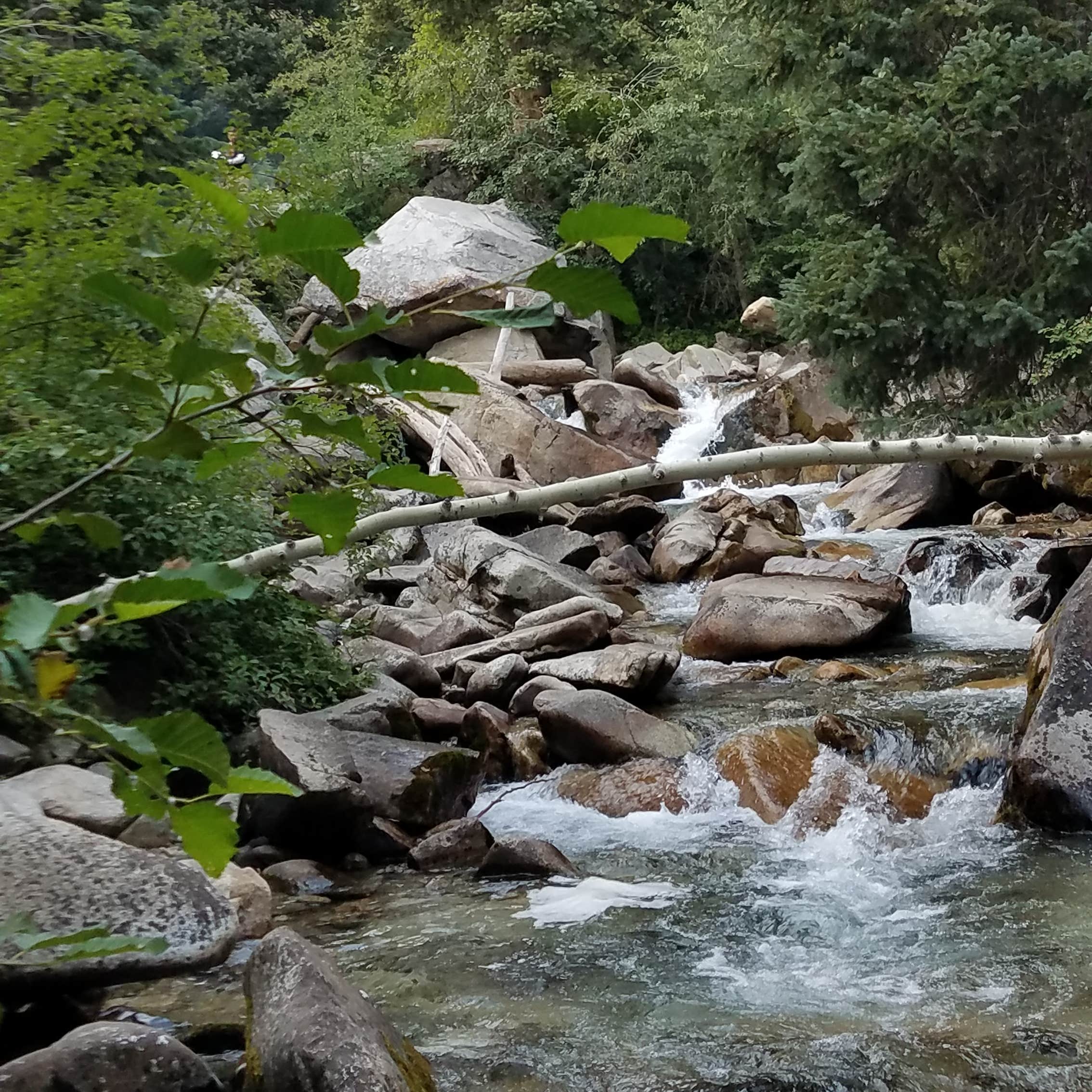 Tanners Flat Camping | The Dyrt