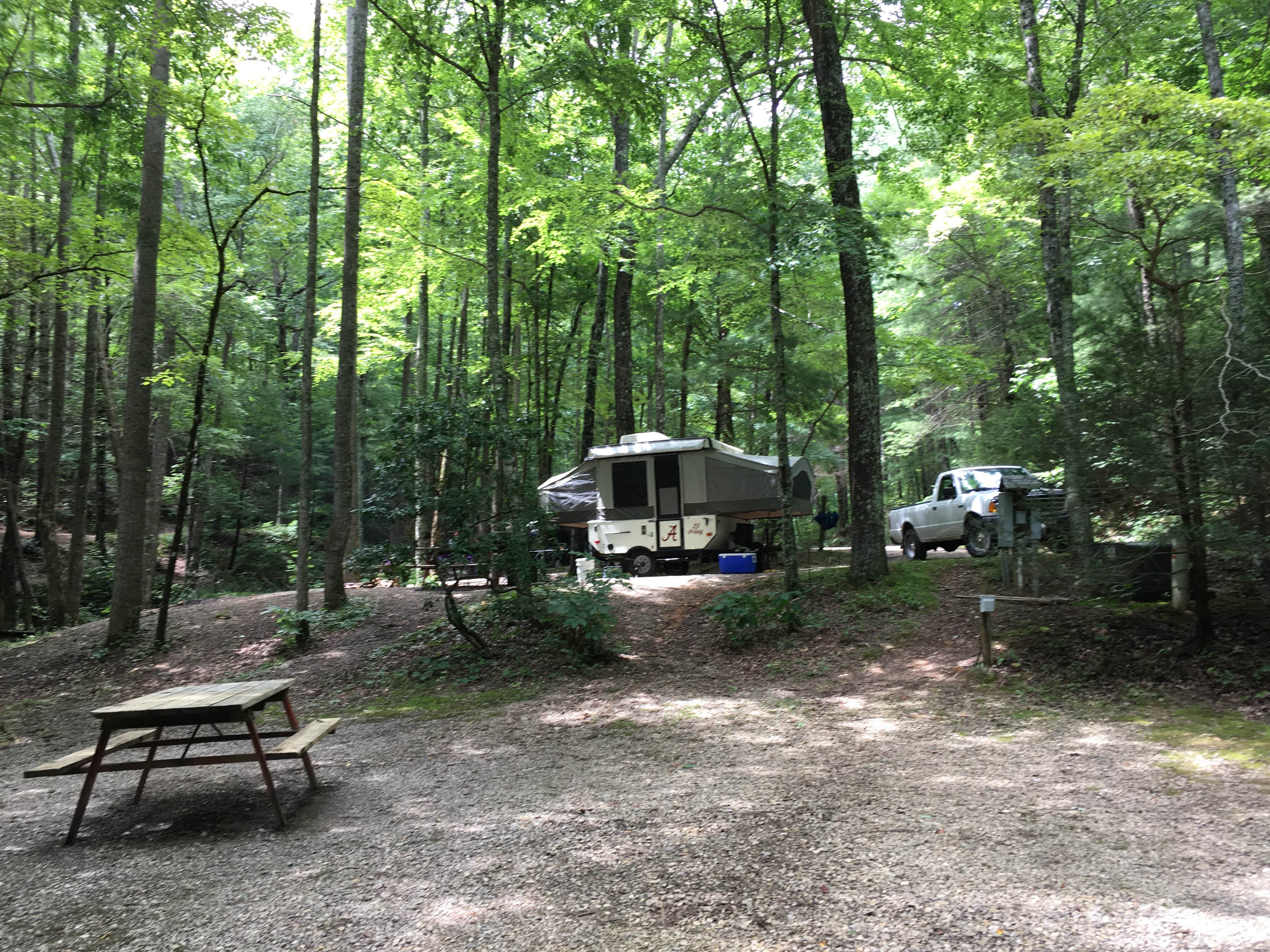 Camper submitted image from Trackrock Campground & Cabins - 4