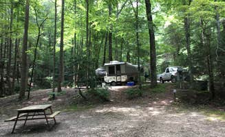 Karen R.'s photo at Trackrock Campground & Cabins in Georgia