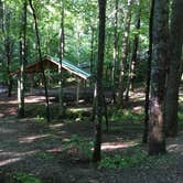 Review photo of Trackrock Campground & Cabins by Karen R., July 29, 2018