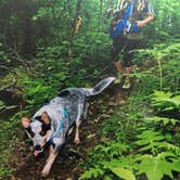 Review photo of Monte Sano State Park Campground by Shelly S., June 30, 2016