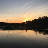 Review photo of Godfrey Bridge — Wharton State Forest by Hallie M., July 30, 2018