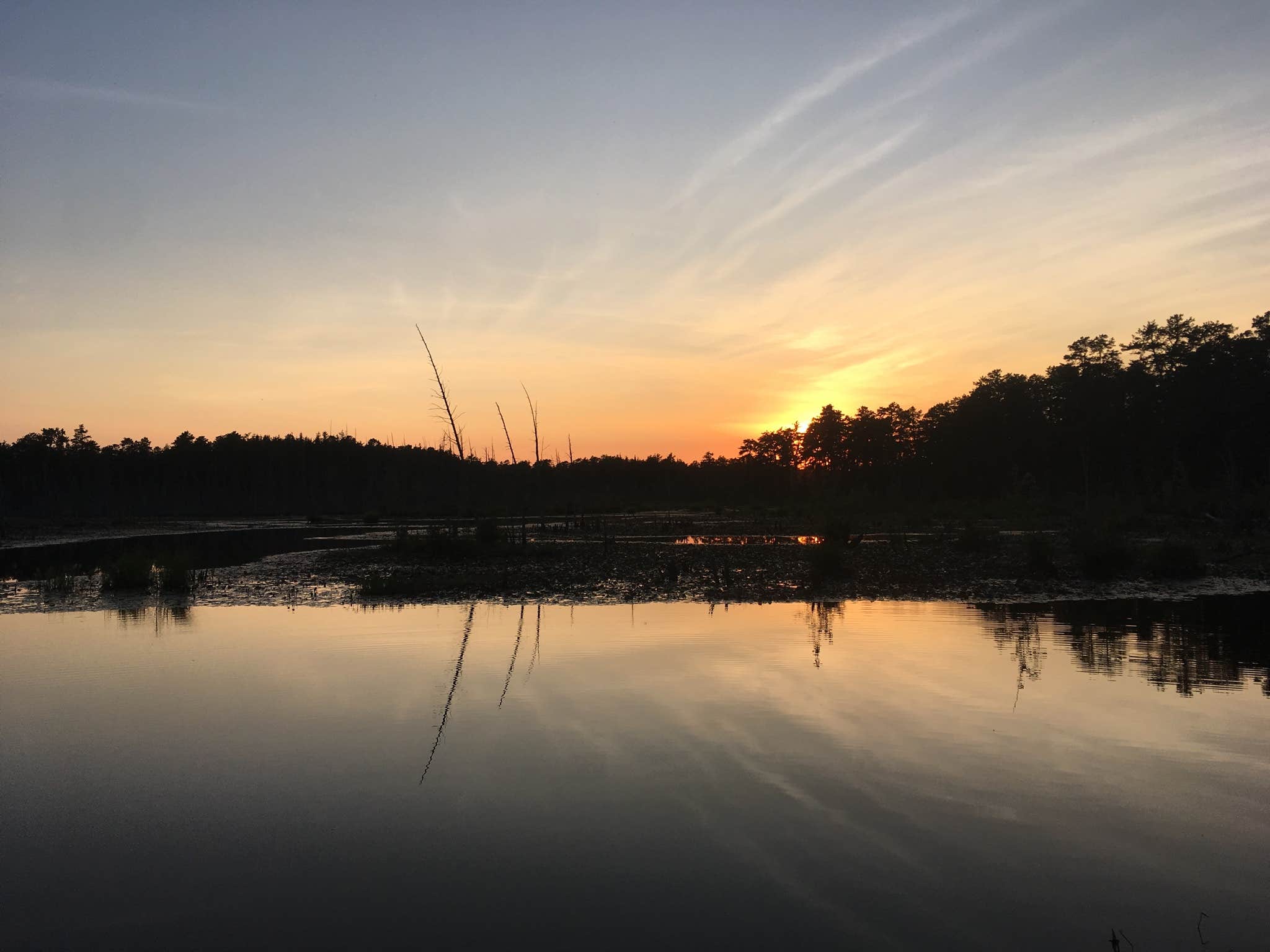 Camper submitted image from Godfrey Bridge — Wharton State Forest - 2