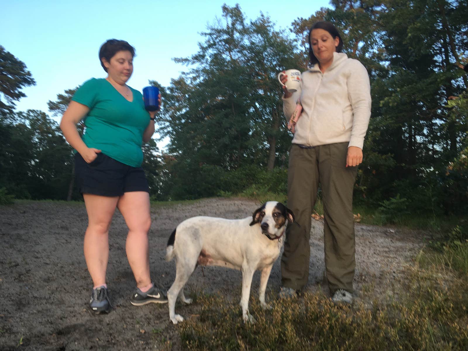 Camper-submitted photo at Godfrey Bridge — Wharton State Forest near Manahawkin, NJ