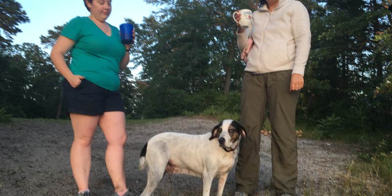 Camper submitted image from Godfrey Bridge — Wharton State Forest