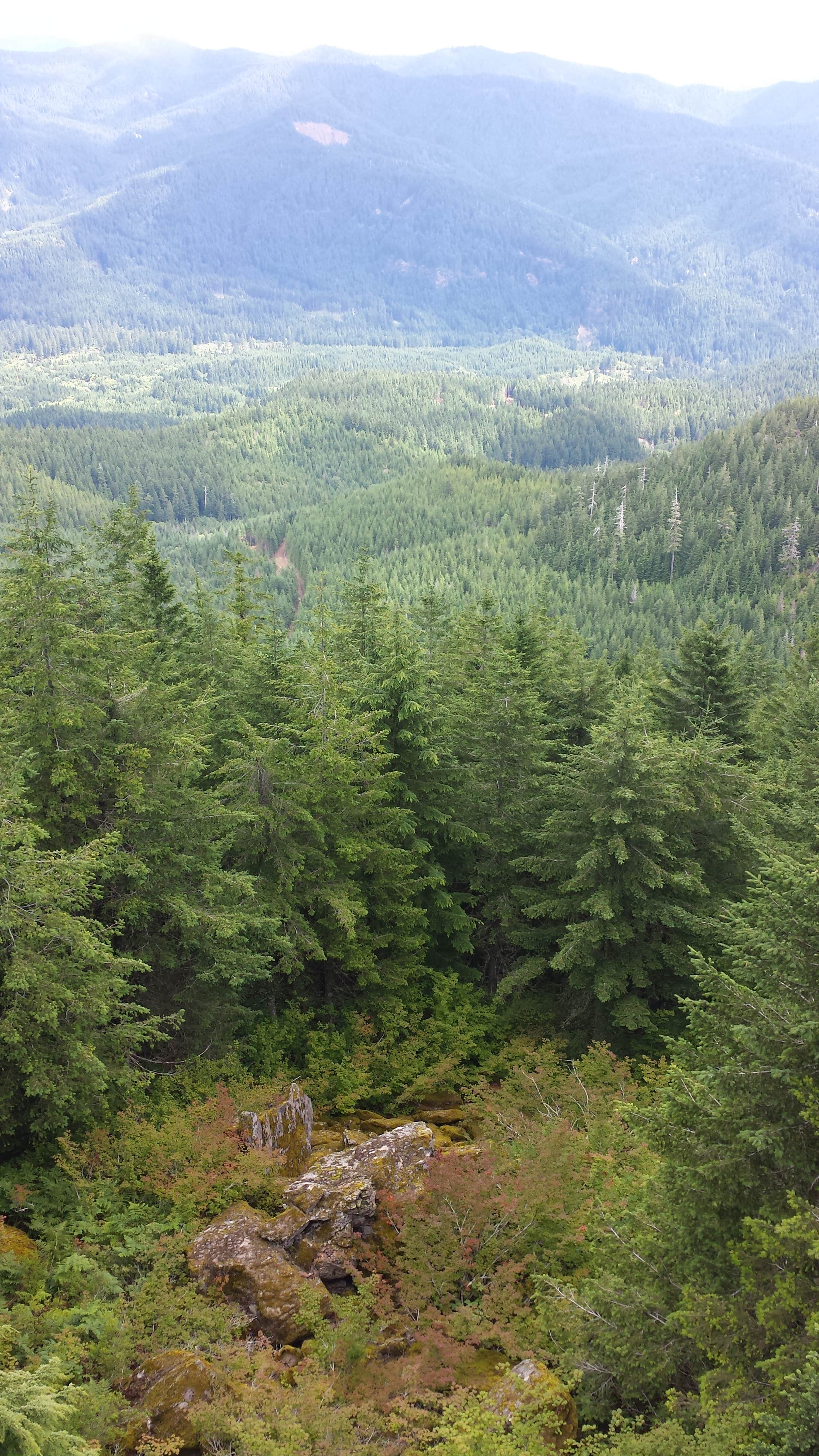 Camper-submitted photo at Snag Creek Trailhead Dispersed near Woodland, WA