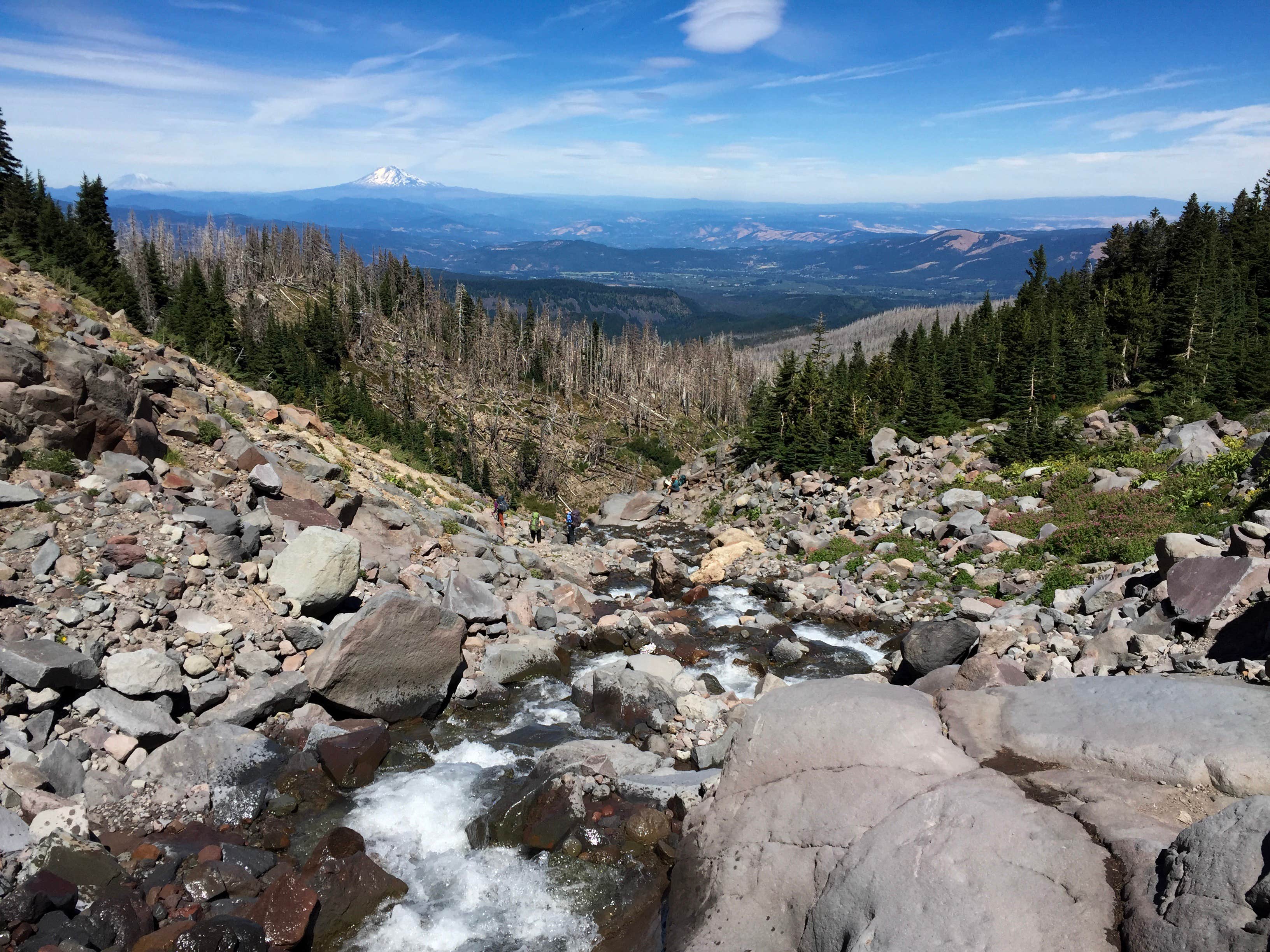 Camper submitted image from Cloud Cap Saddle - 5