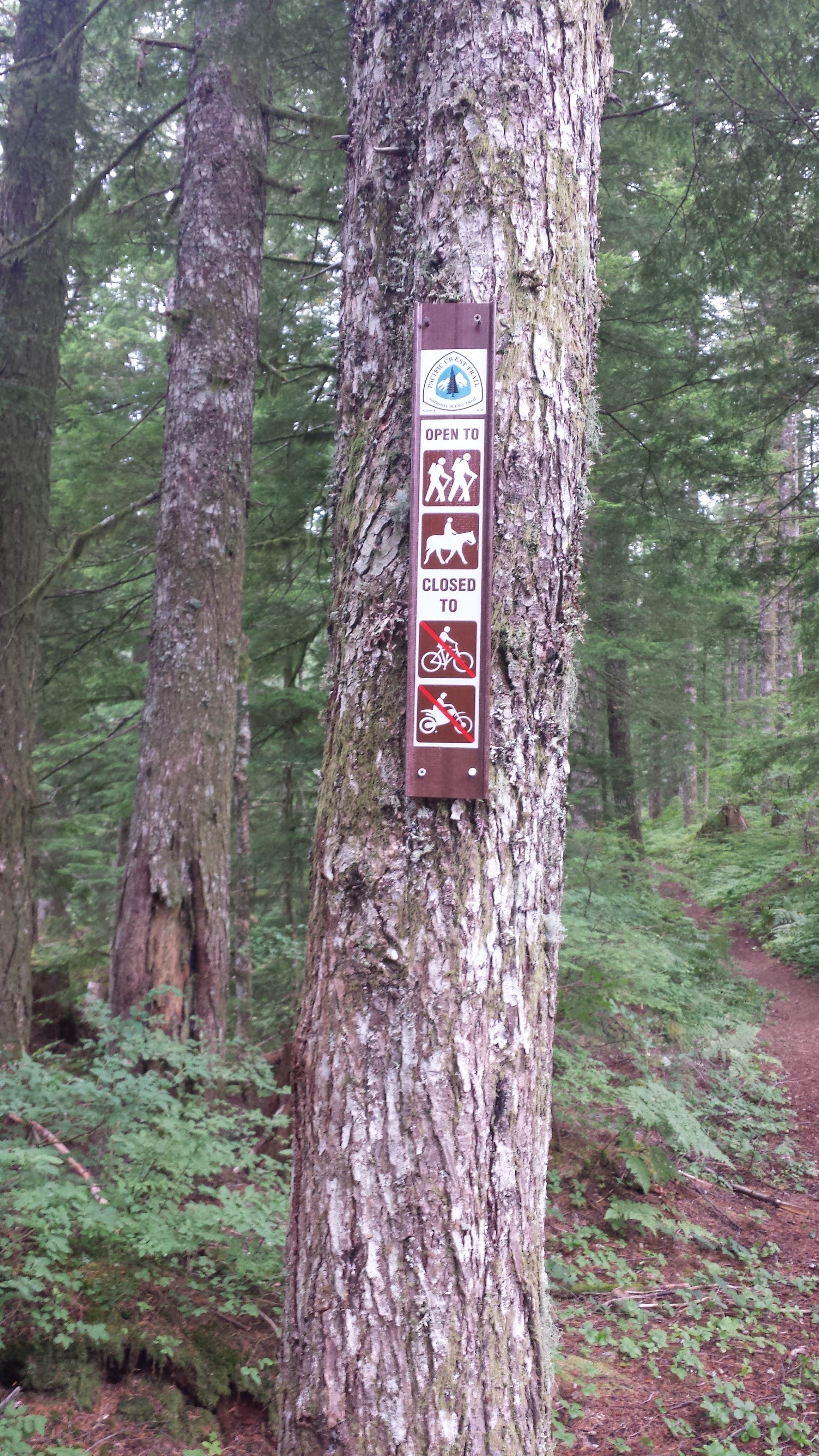 Camper-submitted photo at Snag Creek Trailhead Dispersed near Woodland, WA