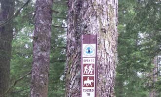 Camping near Dougan Creek Campground: Snag Creek Trailhead Dispersed, Stevenson, Washington