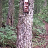 Review photo of Snag Creek Trailhead Dispersed by Raphaela H., July 27, 2016