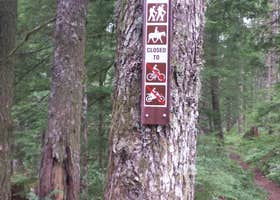 Snag Creek Trailhead Dispersed