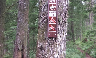 Camping near Dougan Falls- State Forest: Snag Creek Trailhead Dispersed, Stevenson, Washington