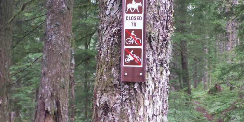 Camper submitted image from Snag Creek Trailhead Dispersed