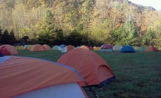 Theresa D.'s photo at Red River Gorge Retreats (Miguel's Pizza) in Kentucky