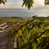 Review photo of Lake Michigan Campground at Muskegon State Park Campground by chris R., July 30, 2018