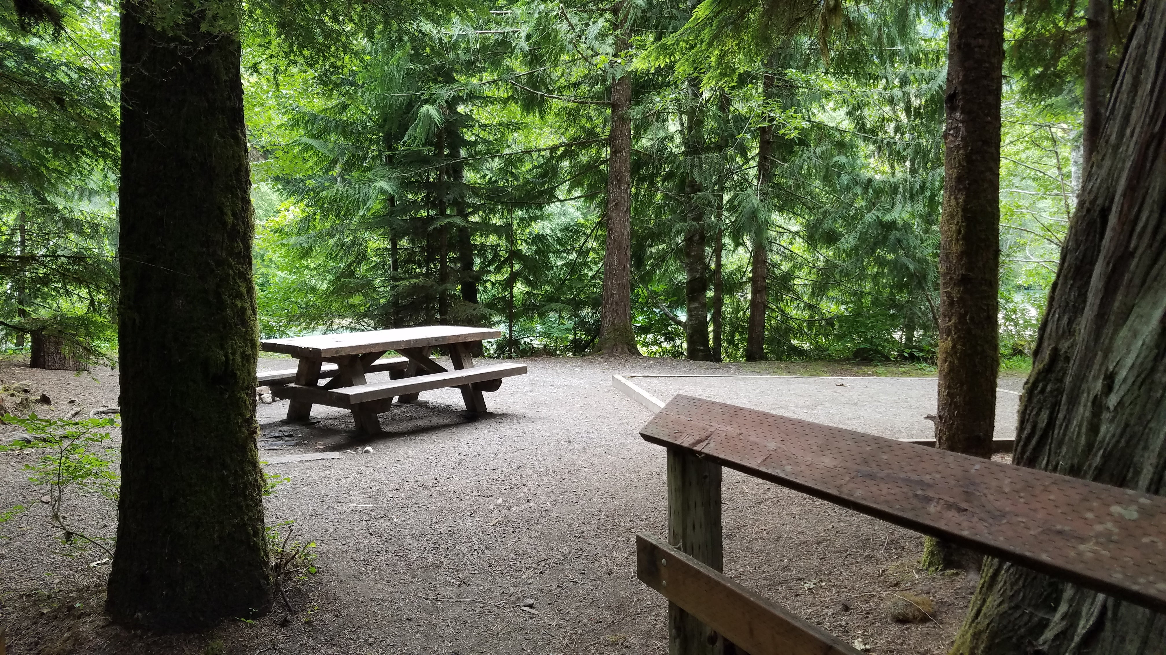Camper submitted image from Silver Fir Campground - 4