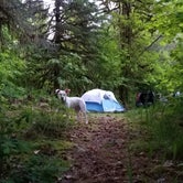 Review photo of Red Bridge Campground by Stephanie S., July 30, 2018