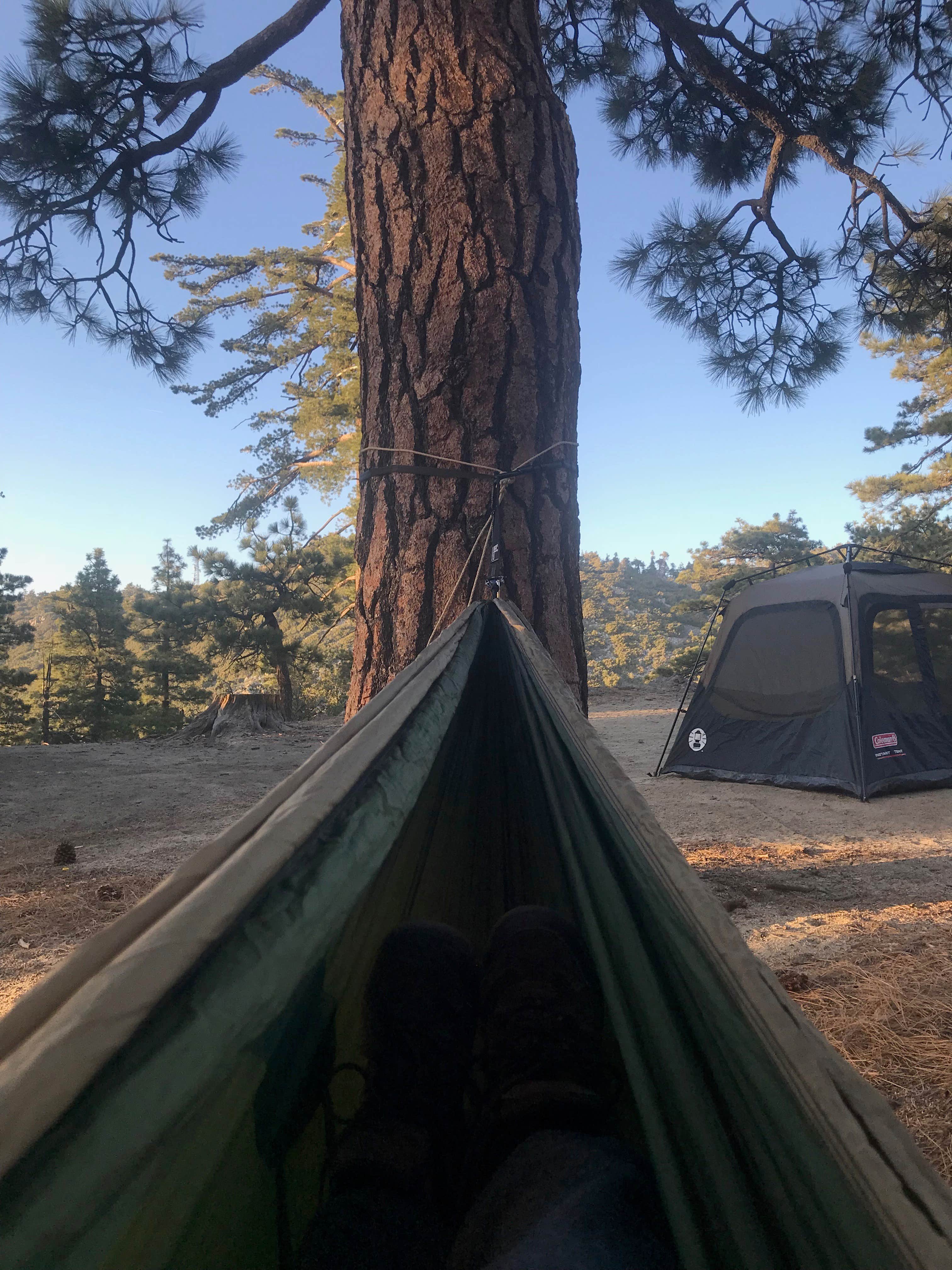 Meghan T.'s photo at Santa Rosa Yellow Post Sites near Palm Desert, CA