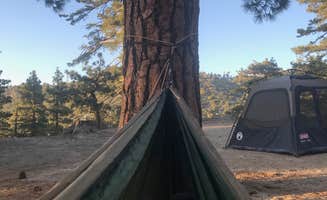 Meghan T.'s photo at Santa Rosa Yellow Post Sites near Palm Desert, CA