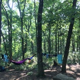 Review photo of DeSoto State Park Campground by Emily Grace M., July 30, 2018