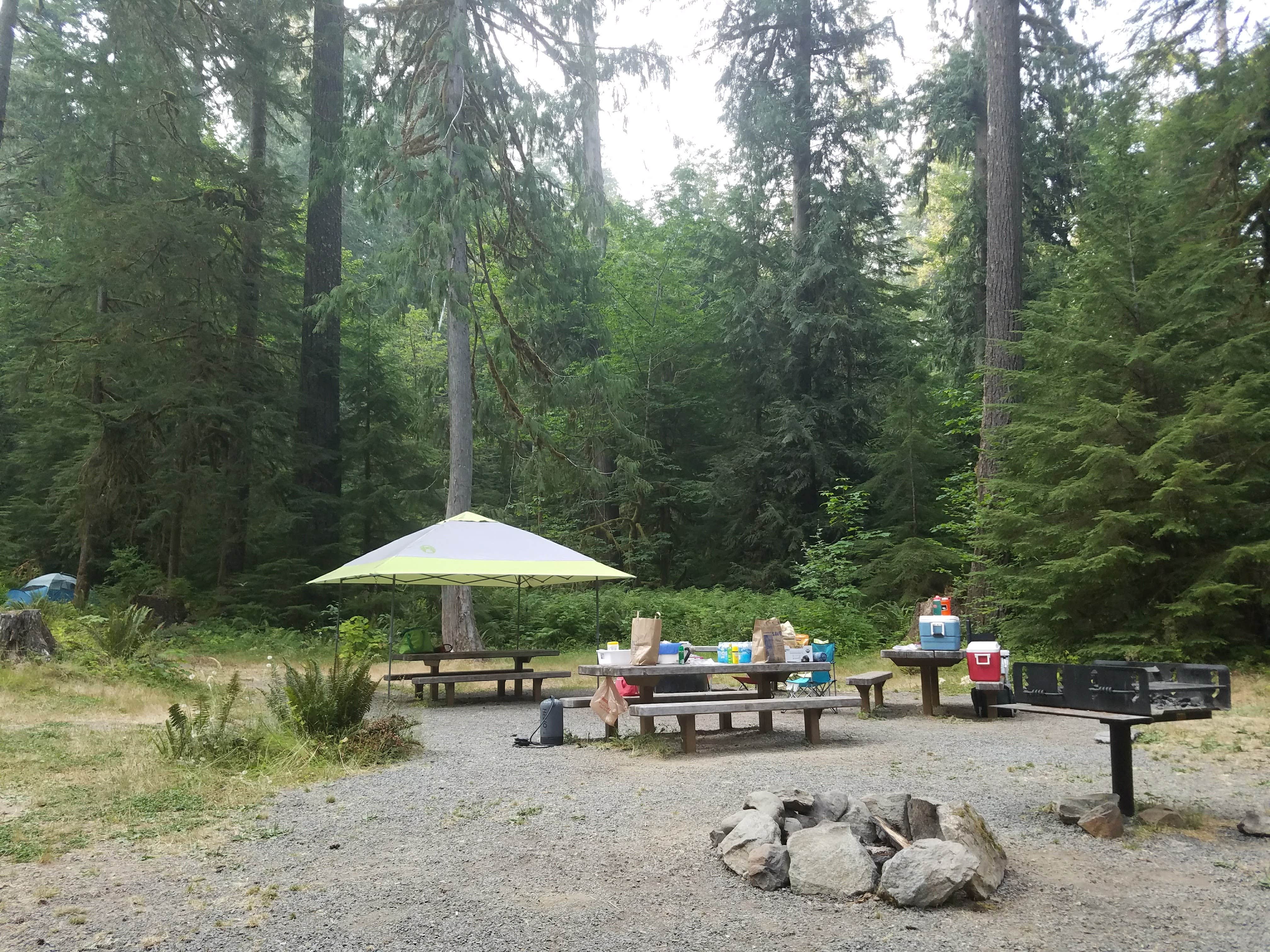 Stephanie S.'s photo at North Fork Campsite in Washington