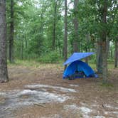 Review photo of Hawkins Bridge Campground by Hallie M., July 30, 2018