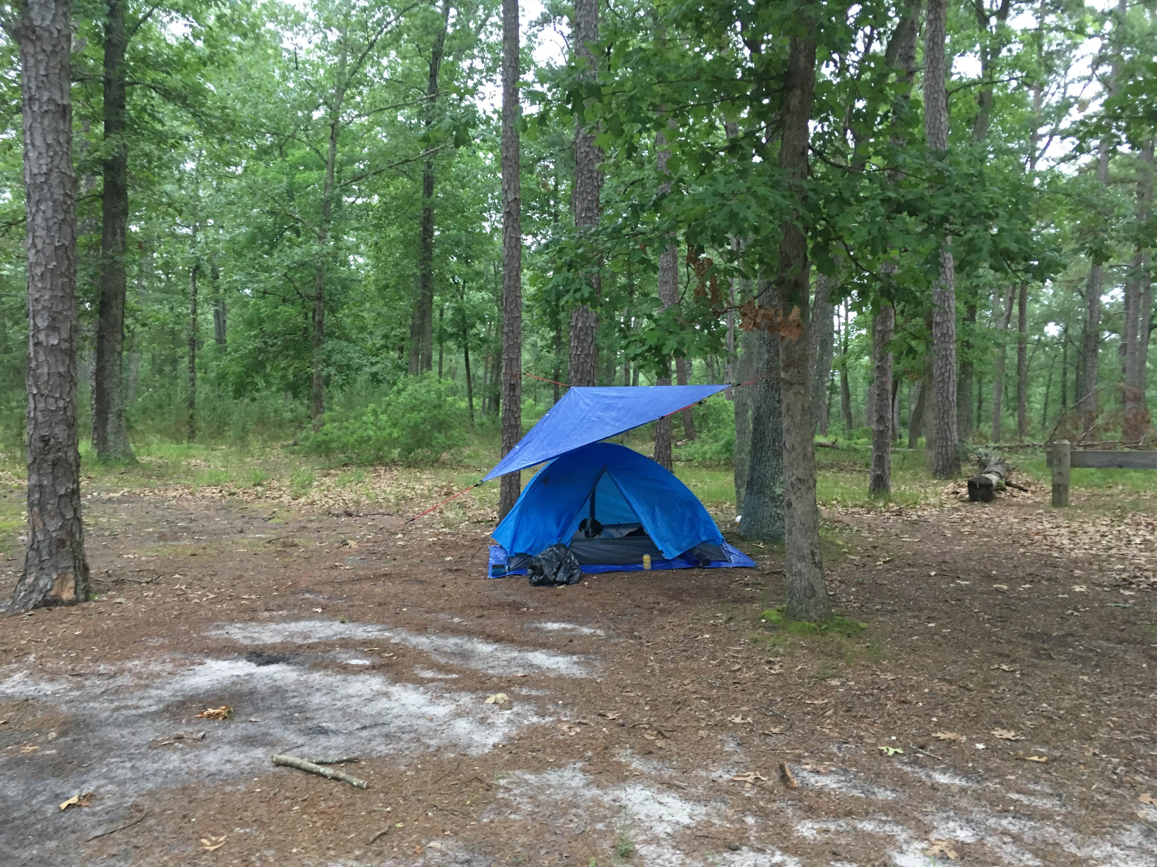 Camper submitted image from Hawkins Bridge — Wharton State Forest - 4