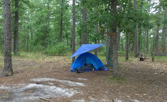 Hallie M.'s photo at Hawkins Bridge — Wharton State Forest near Port Republic, NJ