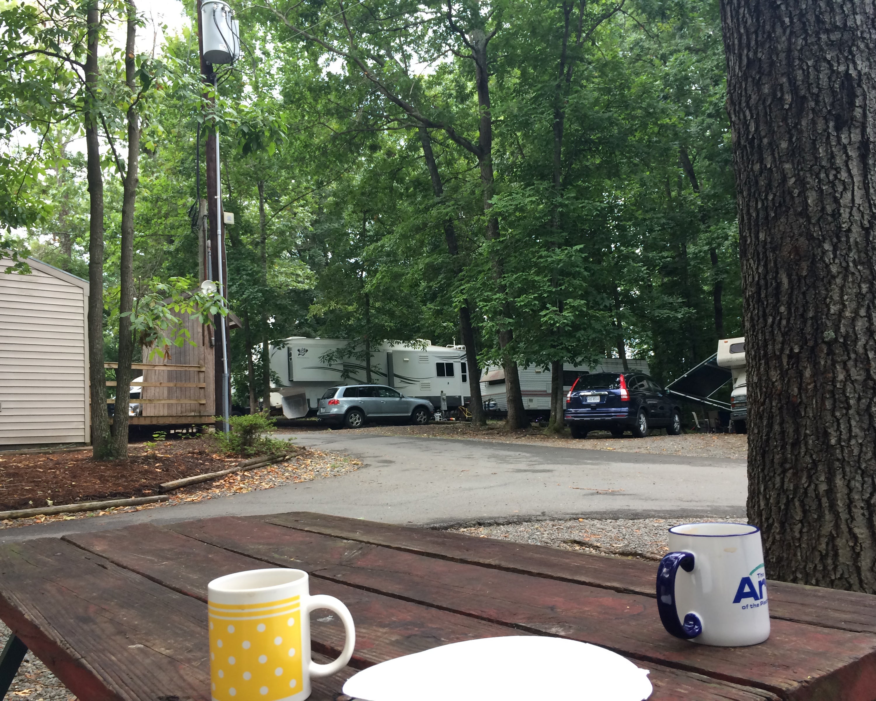 Camper submitted image from Misty Mountain Camp Resort - 3
