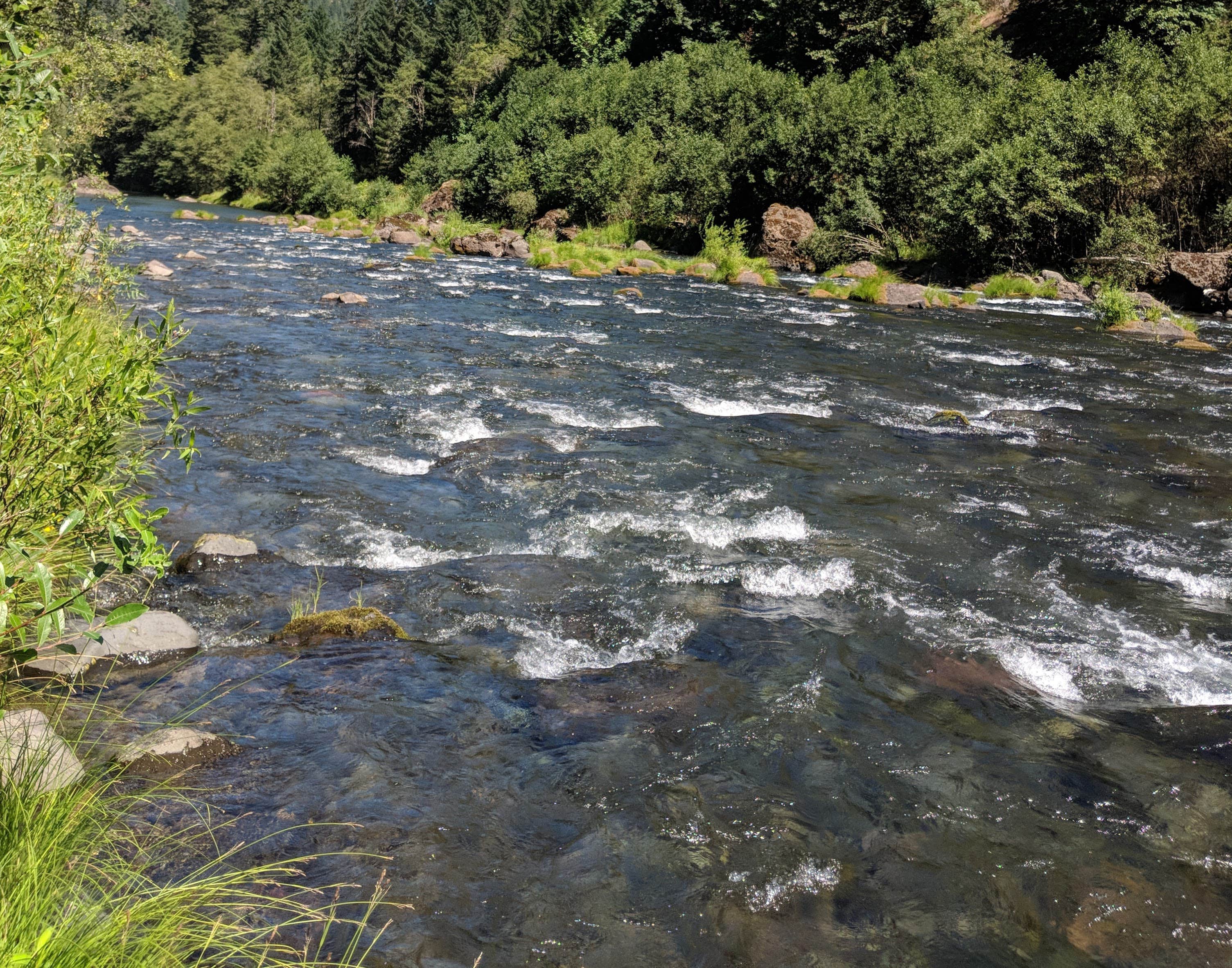 Nature