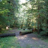 Review photo of North Fork Elk Group Camp by Stephanie S., July 30, 2018