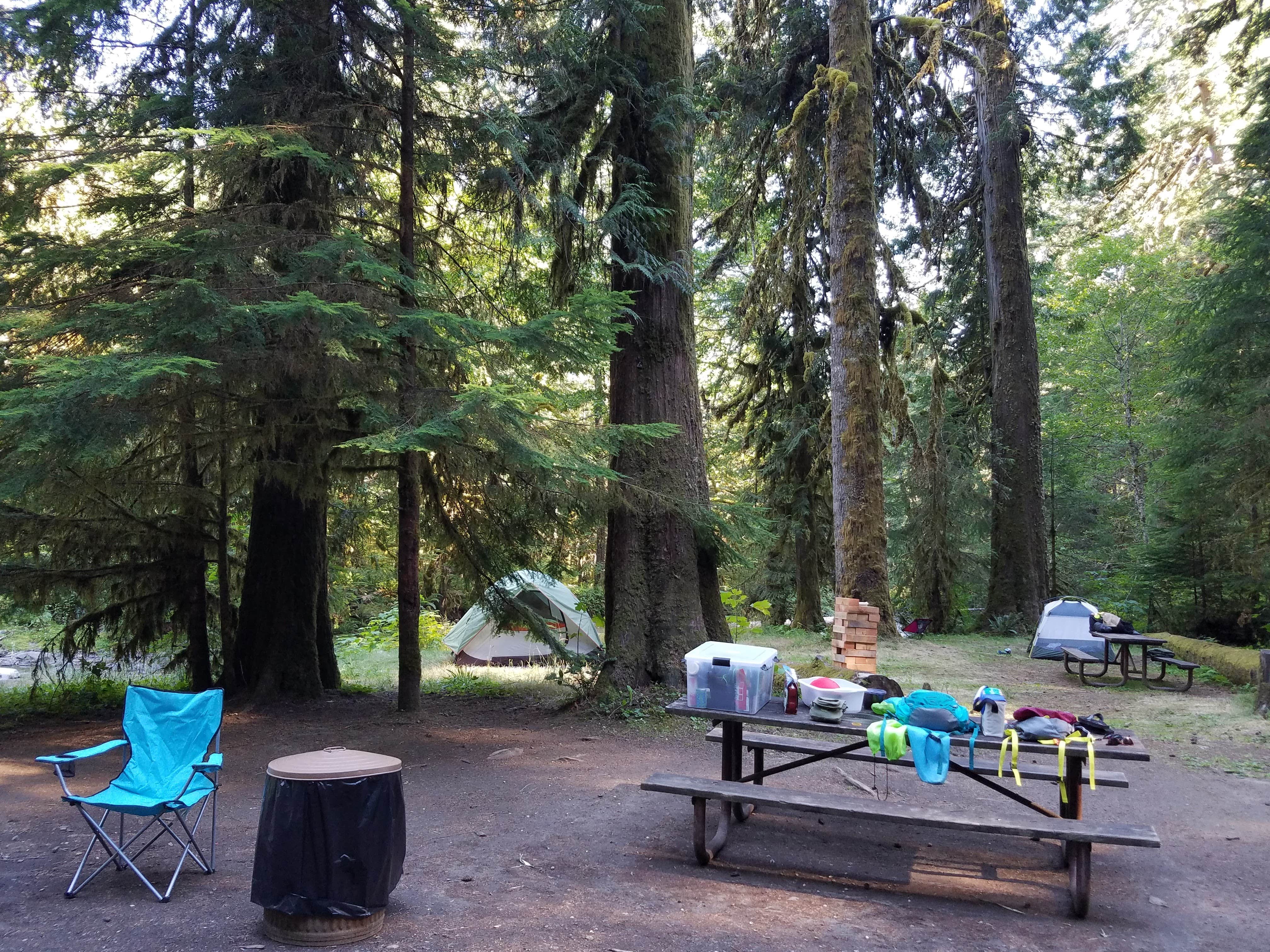 Stephanie S.'s photo at North Fork Elk Group Camp near Randle, WA
