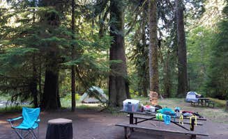 Stephanie S.'s photo at North Fork Elk Group Camp near Randle, WA
